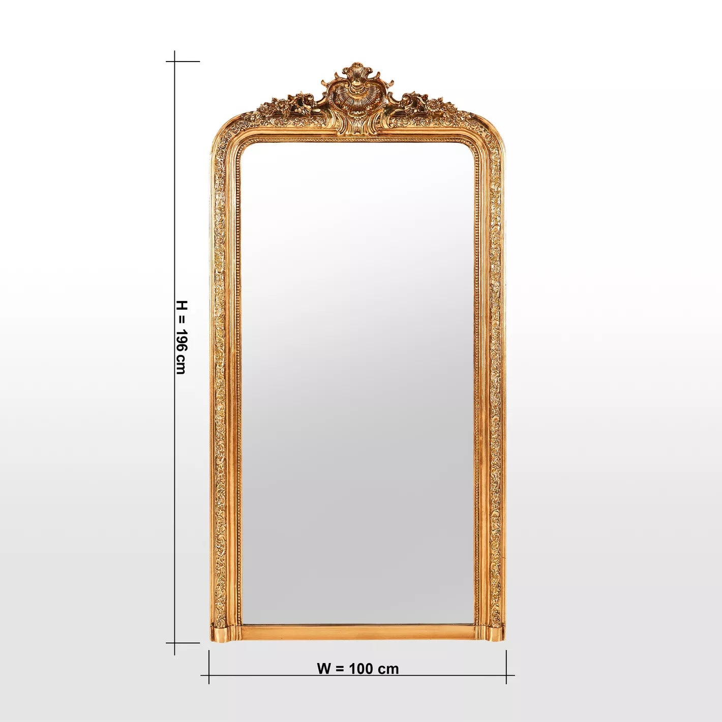 Pujara Leaner Floor Mirror - 100x5x196 cm