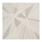 Furs Unframed Wall Art, Beige - 100x100cm