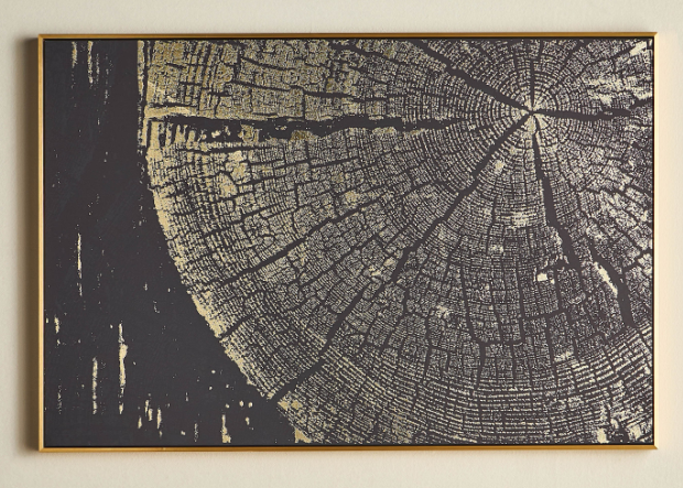 plice Framed Canvas Wall Art - 82x122 cm