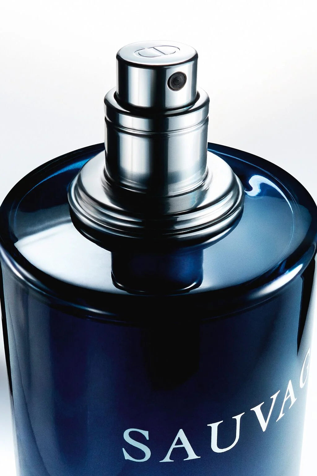 Sauvage Eau de Toilette
