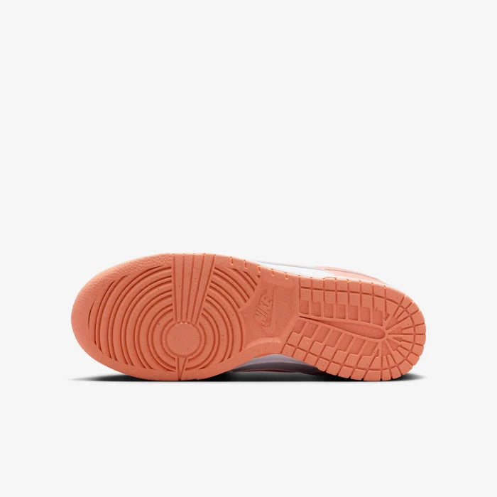 Nike Dunk Low Next Nature
